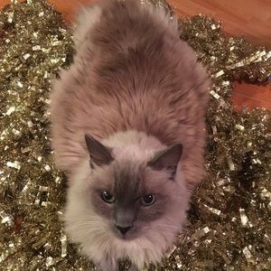 Meet your Posher, Bianca